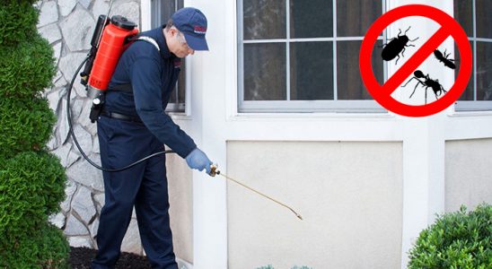 Boğazlıyan Kene İlaçlama böcek ilaçlama ve haşere kontrolü — ilaclama-tr.com
